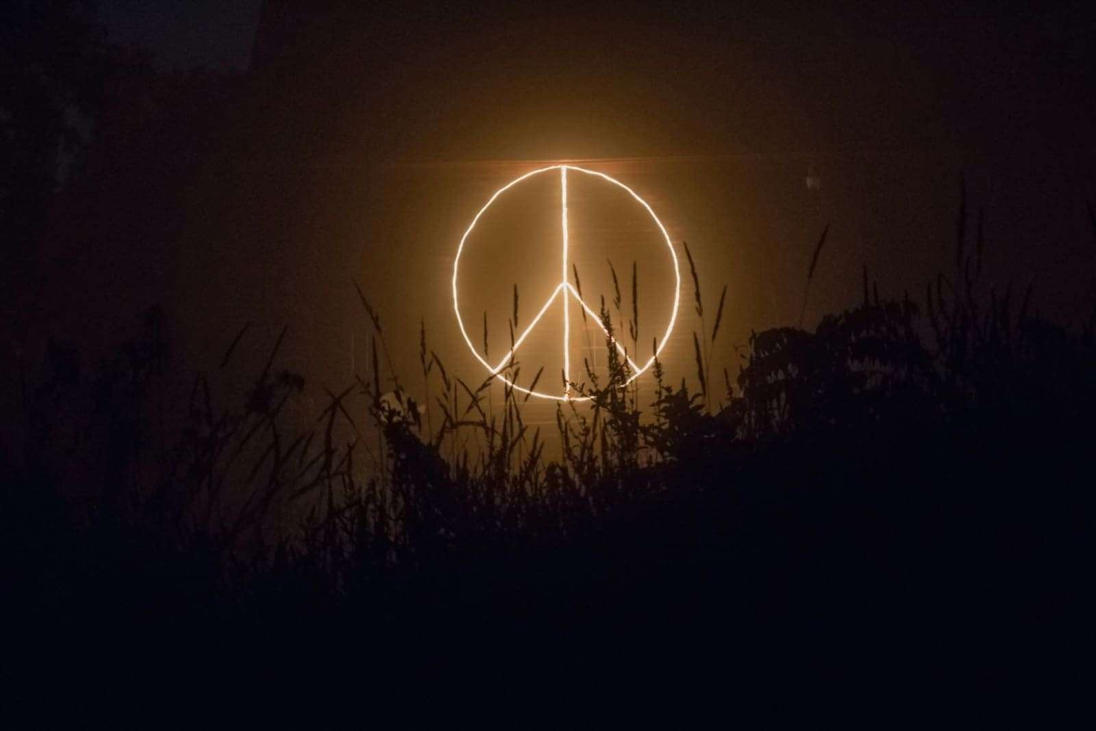 A glowing peace sign in the dark above tall grass