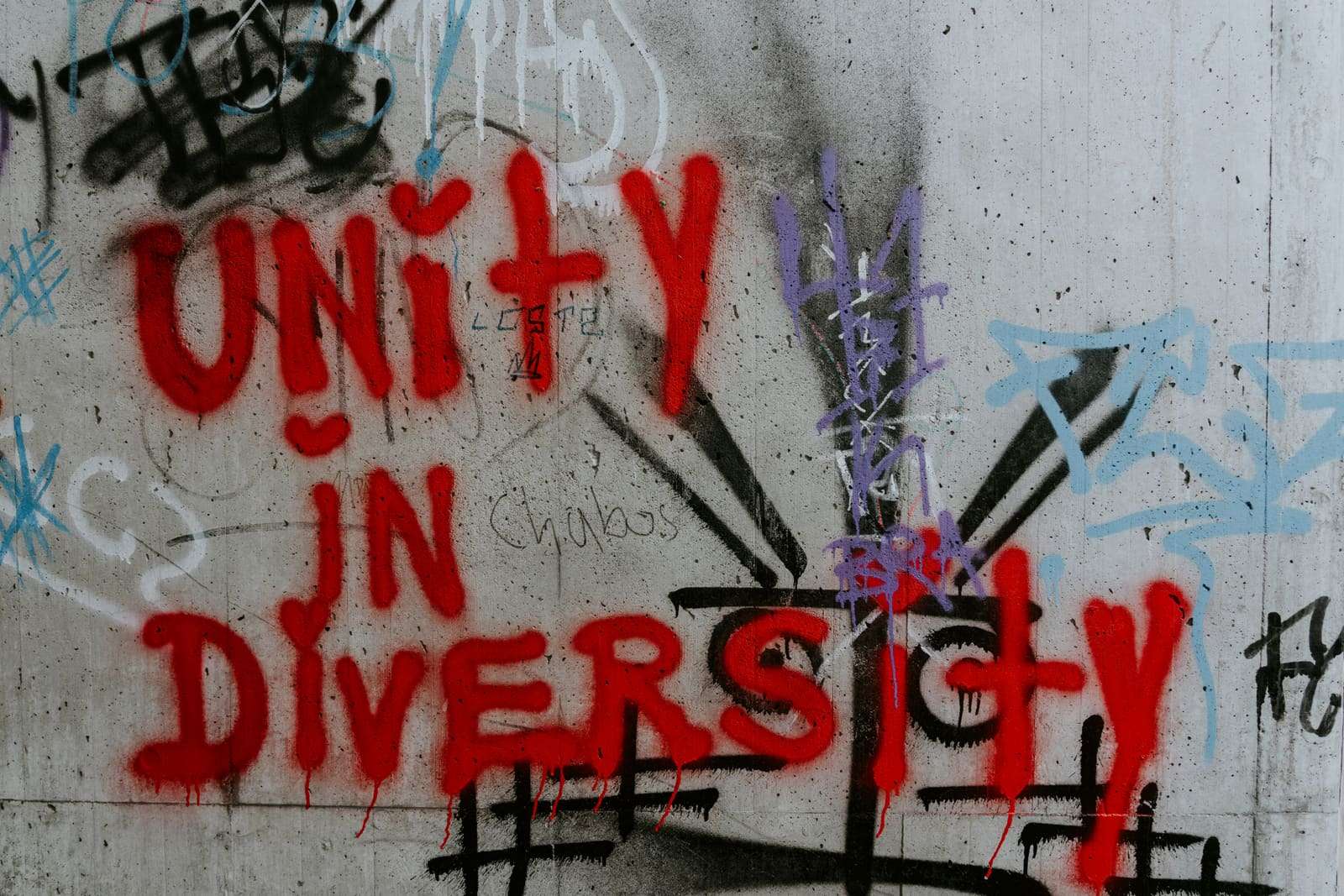 “Unity in diversity” painted in red on a concrete wall